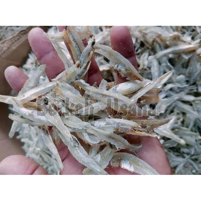 

IKAN ASIN TERI JENGKI BELAH REBUS KERING MURAH GROSIR 1kg