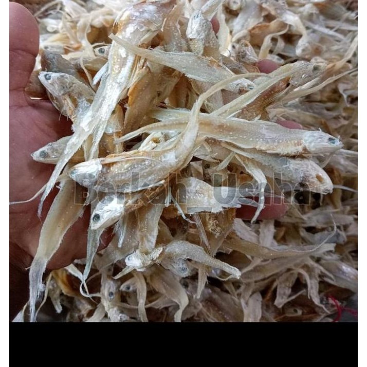 

IKAN ASIN BULU AYAM KERING 500gram