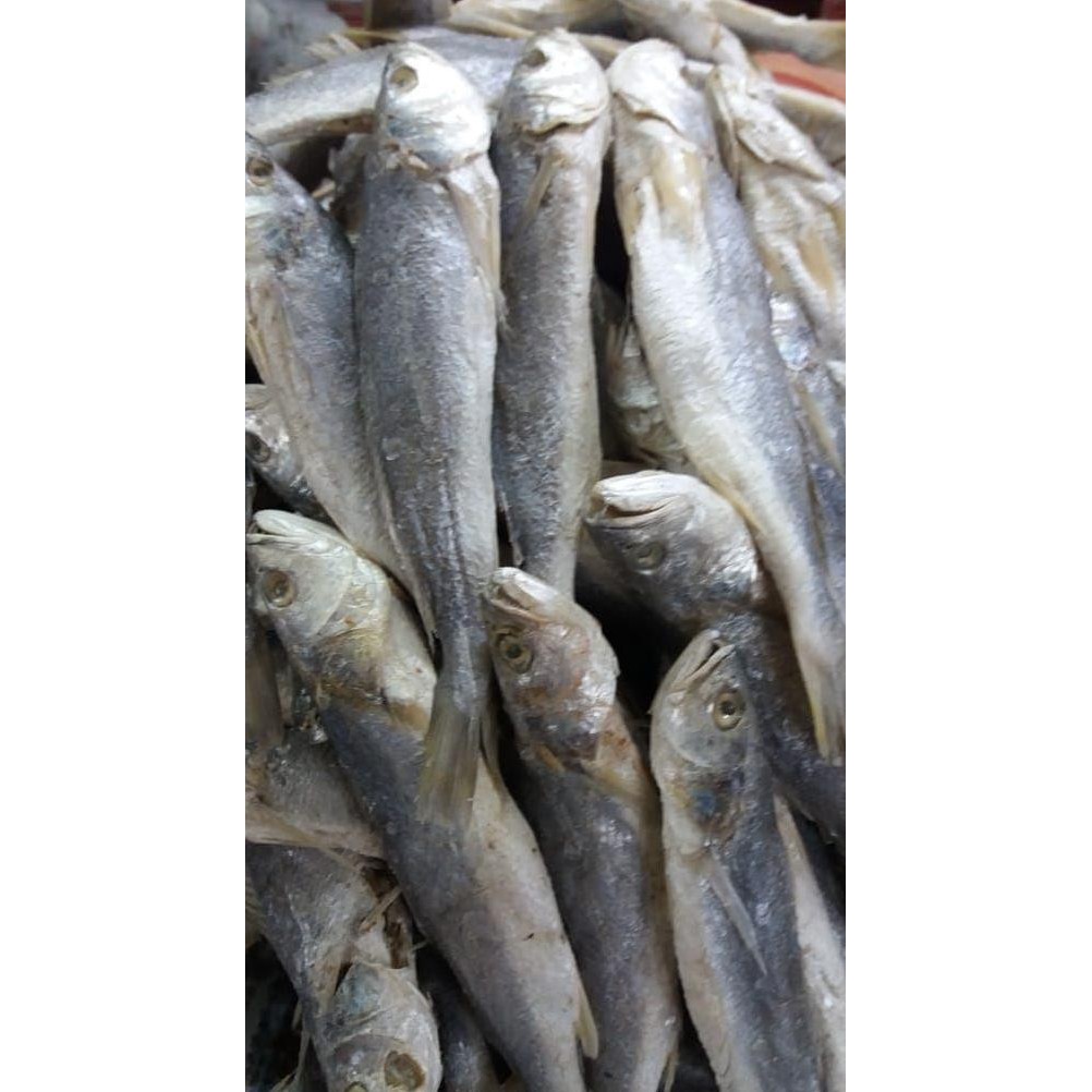 

IKAN ASIN / IKAN SAMGE / SAMGE