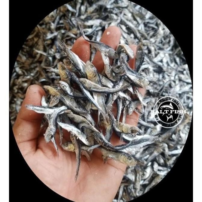 

Ikan Asin Lemet Kering 10 Kg Gram Nikmati rasa gurih khas ikan lemet yang kering dan renyah