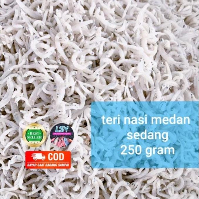 

ikan asin teri nasi medan size sedang 250gr