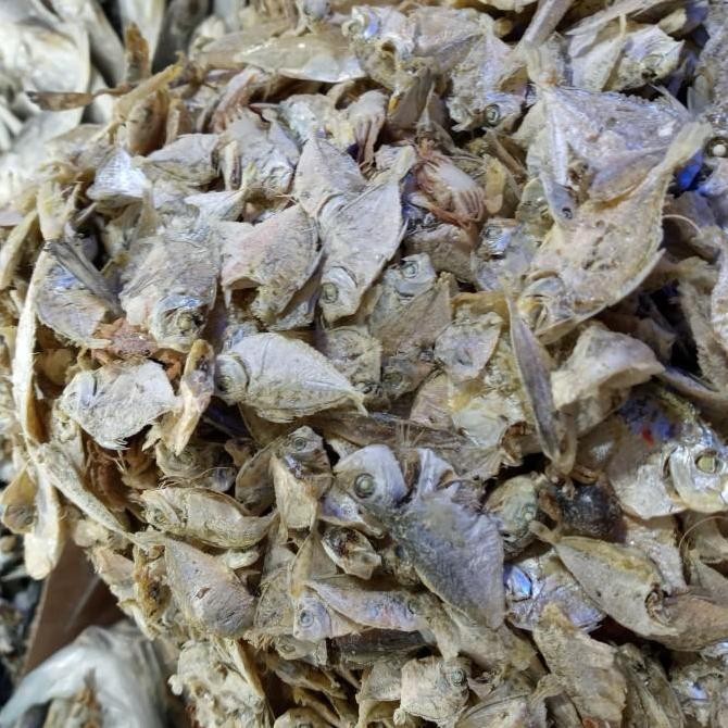 

Ikan Asin Sampah ur 500Gram