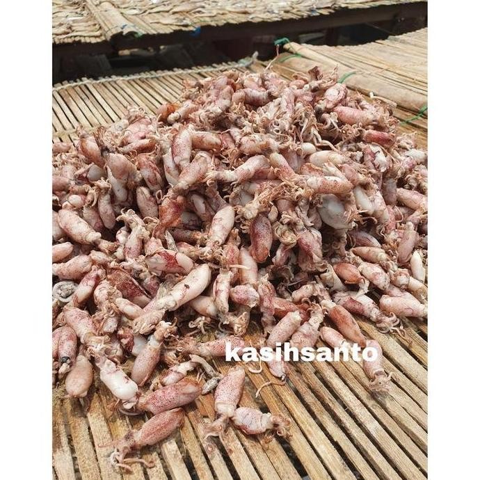 

ikan asin beby cumi-500gram