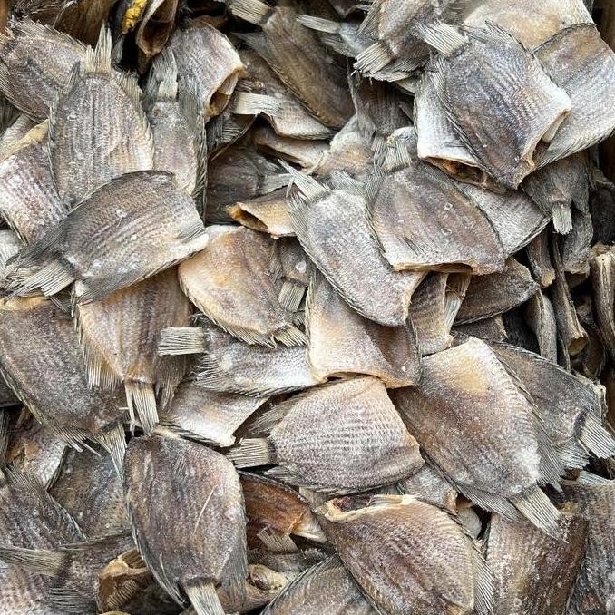 

Ikan asin sapek (sepat) menengah super