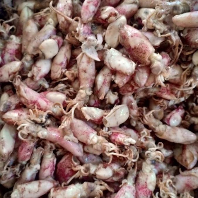 

IKAN ASIN BABY CUMI BK PER 500GRAM