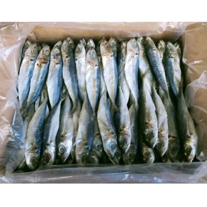 

PRODUK TERBARU IKAN ASIN KLOTOK / LAYANG / PEDA 1KG MURAH BERKUALITAS READYY