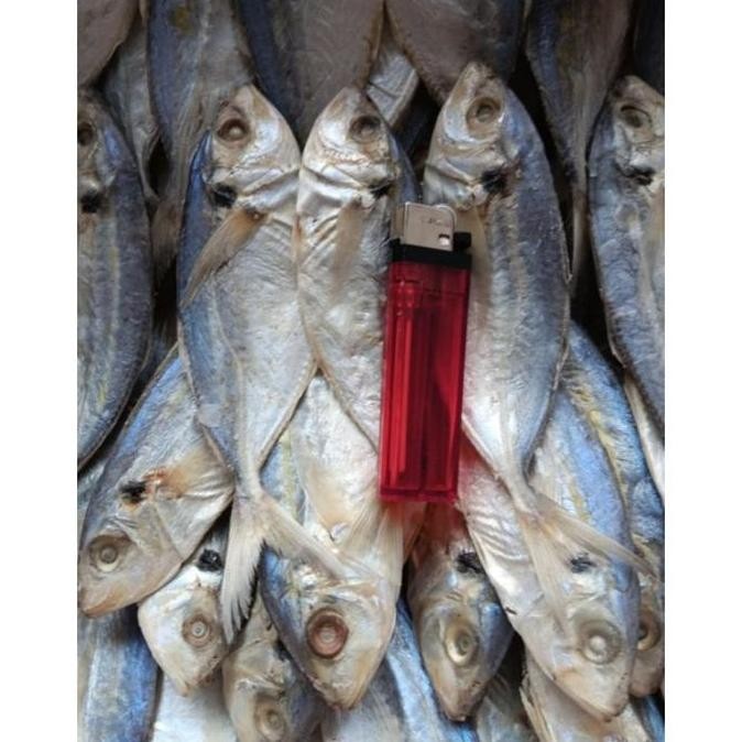 

Terlaris! Ikan Asin Selar Besar Jumbo 1 kilo .