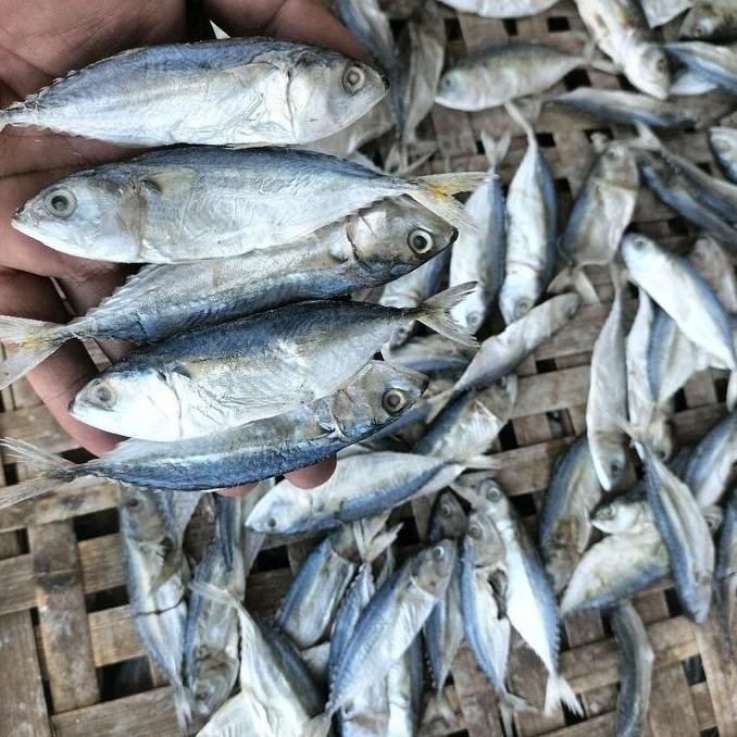 

Ikan Asin Kembung Kenaren Premium Enak Gurih Kemasan 1kg