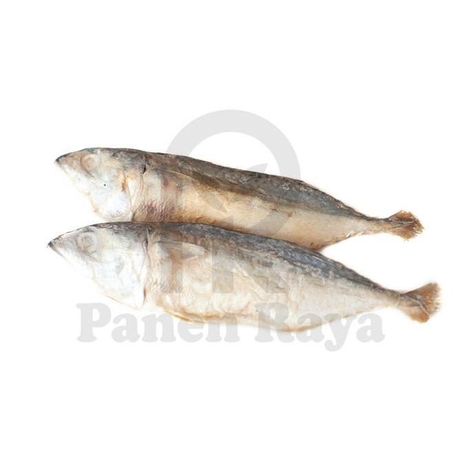 

.. Ikan Peda Ikan Asin Peda Mentah PR
