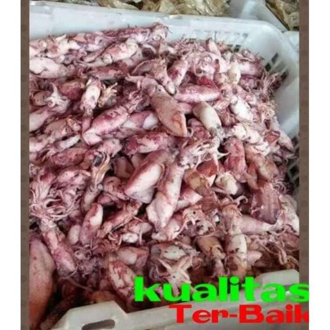 

Terlaris! Ikan Asin cumi Segar kualitas terbaik