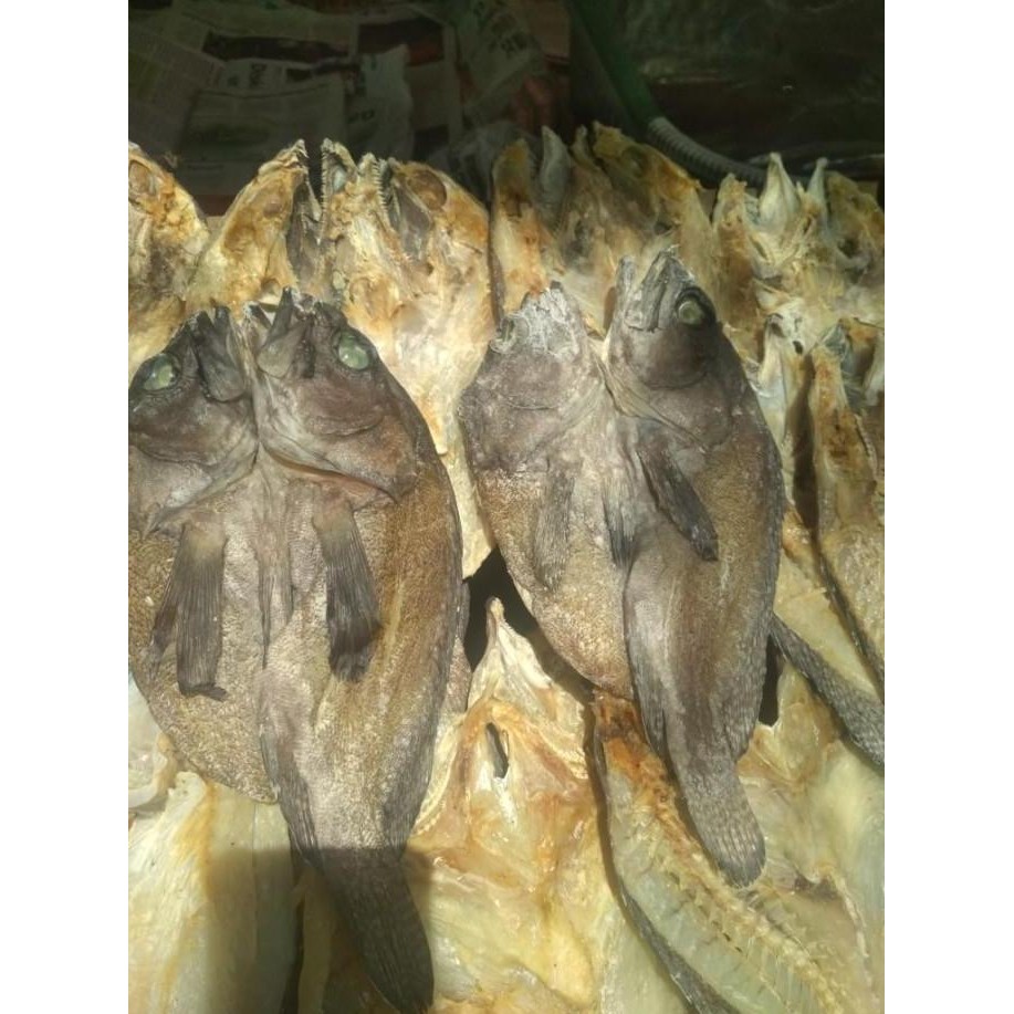 

IKAN ASIN SUNU SUPER KHAS MAKASSAR