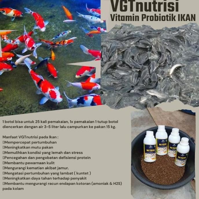 NEW VGT NUTRISI IKAN LELE NILA BAWAL EMAS PATIN GURAME TAWES PROBIOTIK ORGANIK VITAMIN PERIKANAN KOL