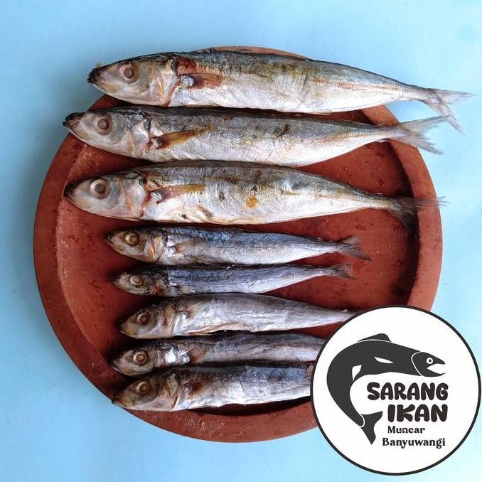 

IKAN LAYANG / KLOTOK KECIL ASIN 1 kg Sarden Fish