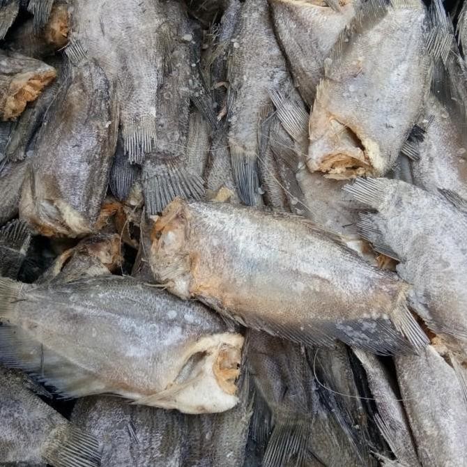 

Jual Ikan Asin Sepat