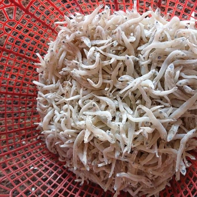 

TERI NASI MEDAN KUALITAS PREMIUM Ikan Asin