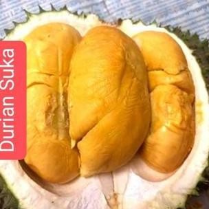 

RKM Durian Black Thorn / Ochee / Duri Hitam Import Malaysia