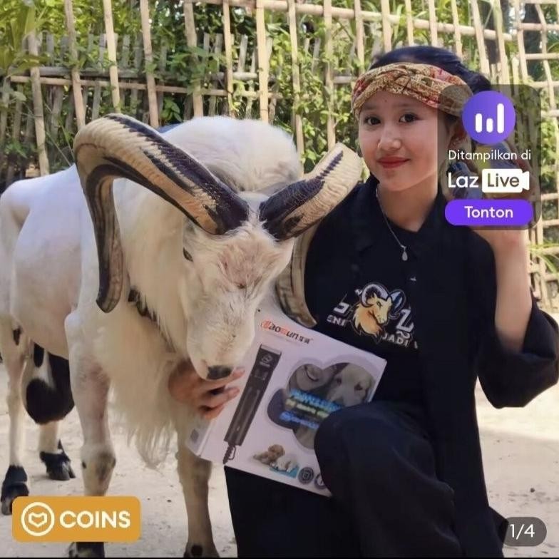 Mesin Cukur Domba Garut Baorun S1 DiM