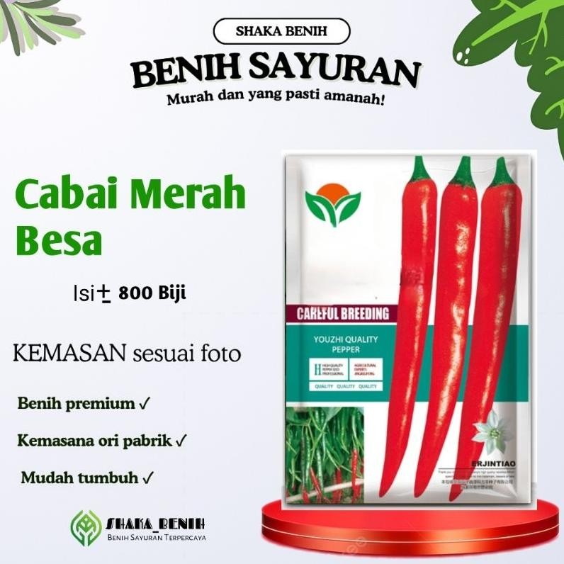 Benih/Bibit Cabe Merah Besar Jumbo Tahan Hama & Cepat Panen | Benih Sayuran Unggul Terbaik Kemasan O