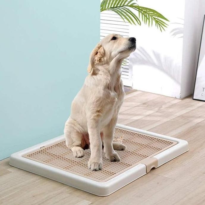Pet Toilet Training Dog Large - Tempat Pipis Poop - Pee Tray Dog L