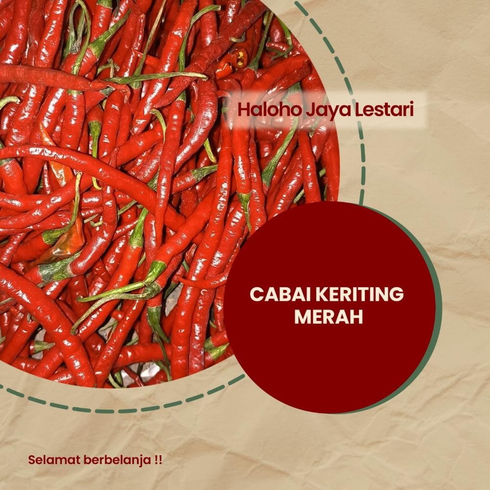 

Mudah Digunakan Cabai Merah Kriting Fresh 1 Kg