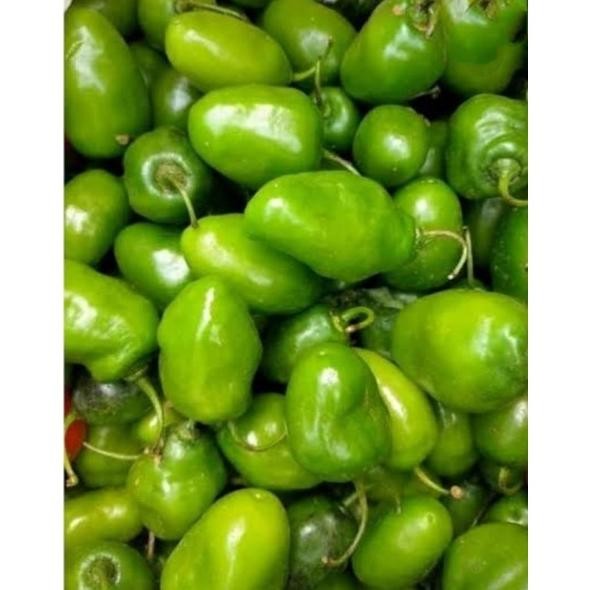 

Satisfaction Cabe Gendot Cabai Bendot Bandung Segar 500Gr