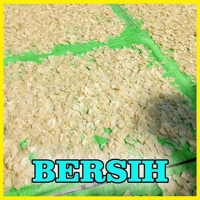 

LM EMPING MELINJO MENTAH SUPER KHAS LIMPUNG/1KG