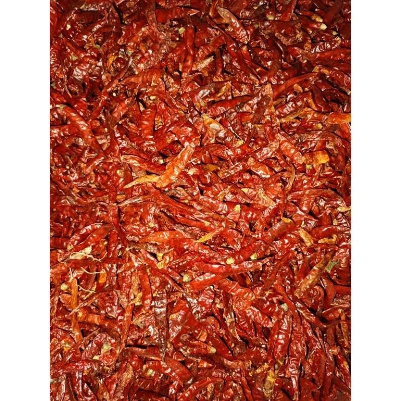 

Mudah Kemasan 1Kg Cabe Rawit Teja Kering Infor India Kuakitas Bagus