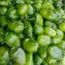 

Mudah 1 Kg Cabe Gendot Cabai Bendot Segar Teh Shaty