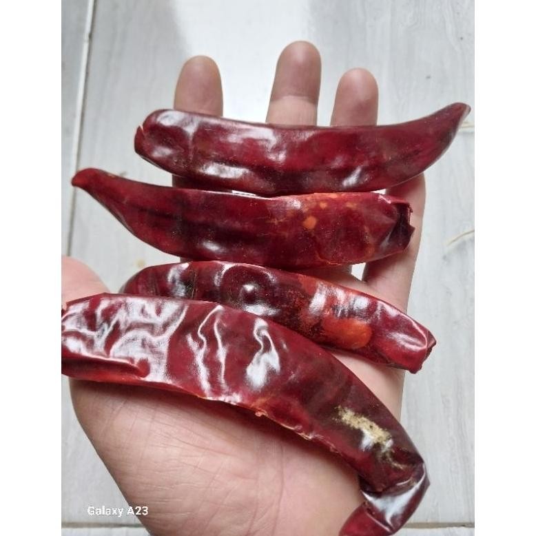 

Cod Promo !! 5Kg Cabe Merah Besar / Tanjung (Tidak Pedas ) Kualitas Super