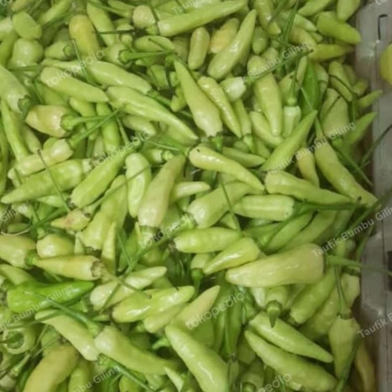 

Sempurna Cabe Rawit,Cabe Hijau,Lombok Kepiting,Lombok Besar