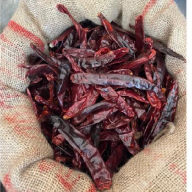 

Momen Spesial Cabe Besar(Wonder Hot)Kering/1Kg/Petik(Tanpa Tangkai /Cabai Merah Besar Kwalitas Super