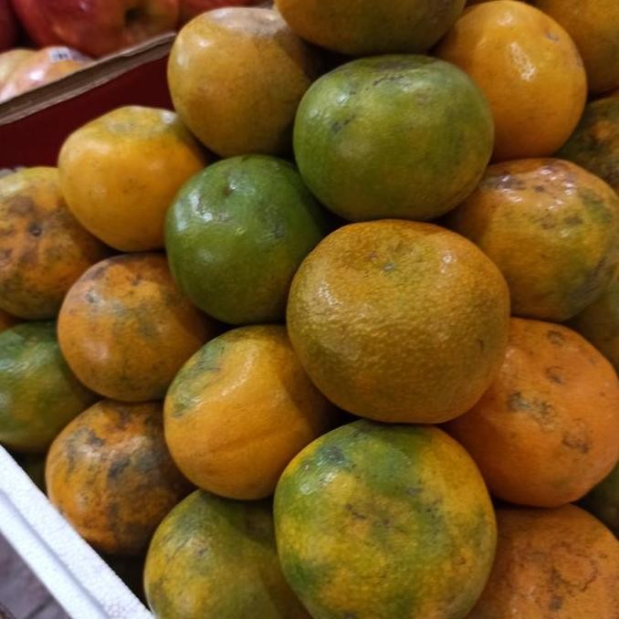 

TERMURAH JERUK MADU MALANG 1KG - JERUK MANIS SEGAR UNTUK JUS & MAKAN LANGSUNG