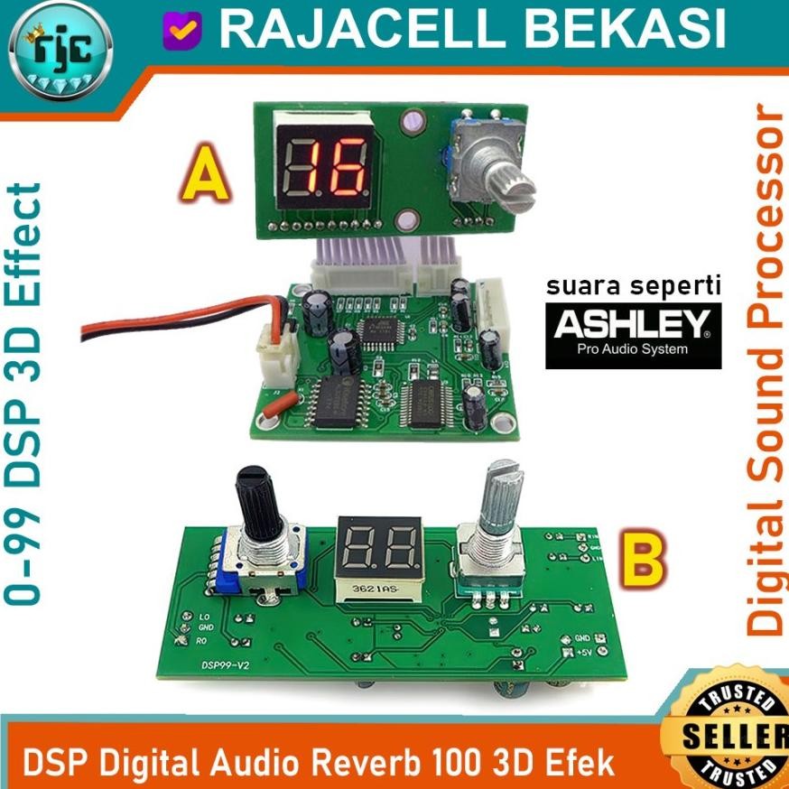 DSP Digital Reverb 99 Sound Vocal Effect Audio Processor 3D Echo Mixer DiM