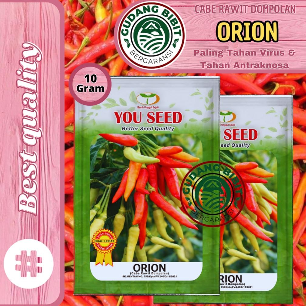 Benih Bibit Biji Cabe Rawit Setan ORION isi 10g Cabe Dompolan Cap You Seed