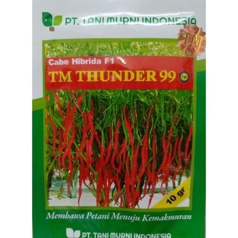 Benih bibit cabe keriting TM THUNDER 99 F1 10 gram kemasan original
