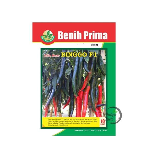BENIH CABE BESAR HIBRIDA TAHAN VIRUS BINGGO F1 10 GRAM