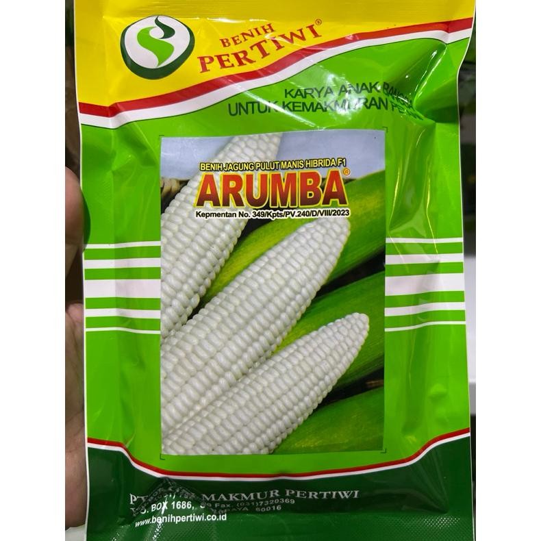 Benih / bibit jagung putih pulut manis ARUMBA jagung arumba 250 gr dari benih pertiwi jagung ketan m