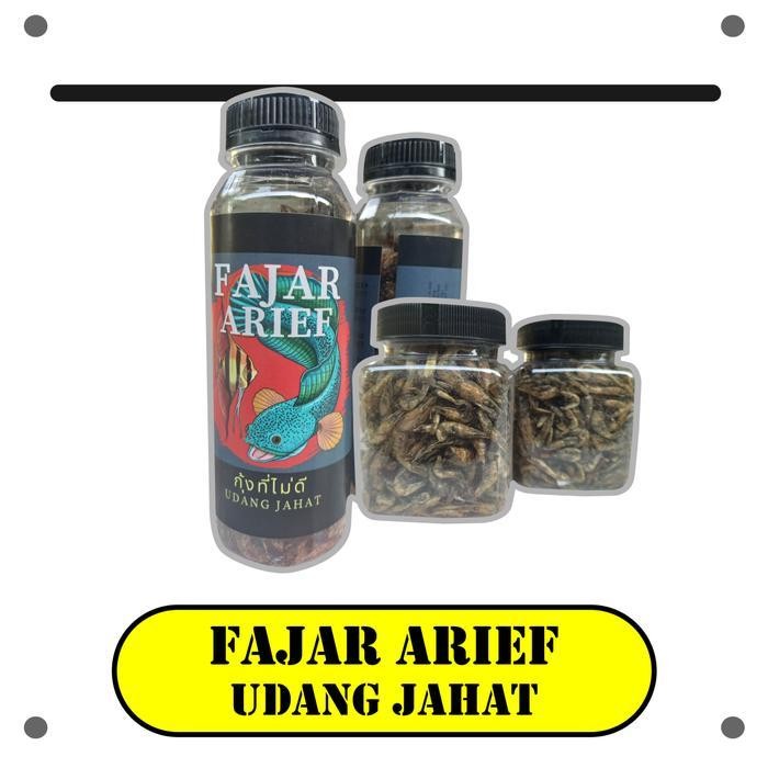 Pelet Jahat Virus Udang Jahat Fajar Arief Progres Bunga Marking Ikan Channa