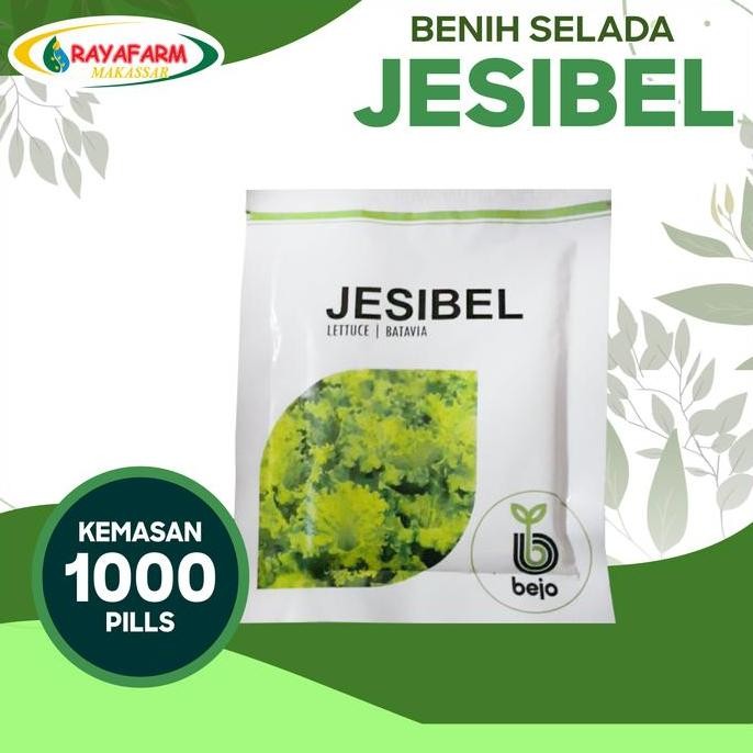 Benih Selada Jesibel 1000 Pill - Bejo Seed
