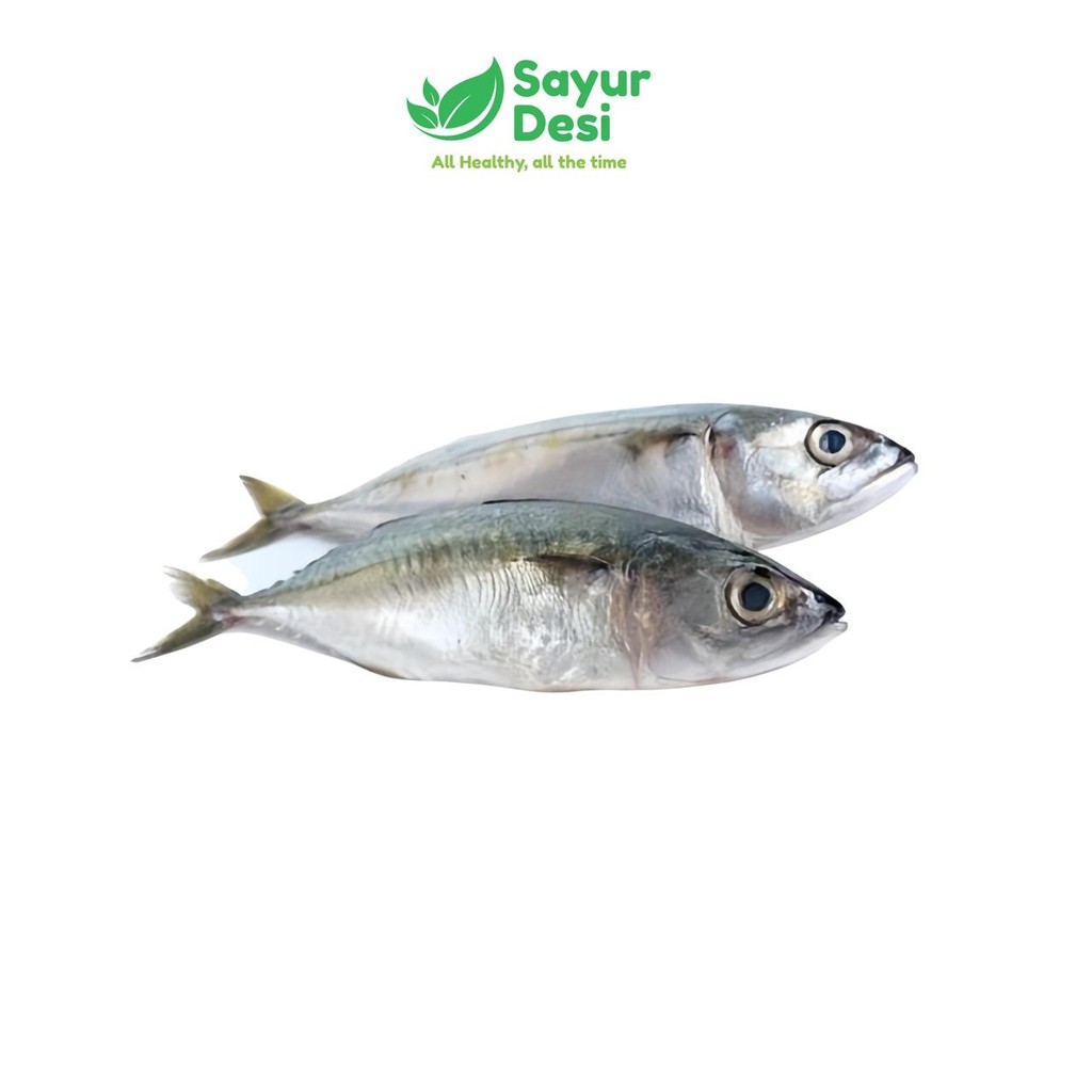 

Ikan Kembung Banjar Fresh ±500 Gram Kualitas Segar Sayur Desi