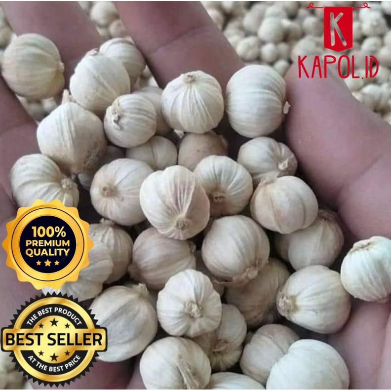 

kapulaga kering 1kg kapolaga organik sudah di cuci bersih Nugi