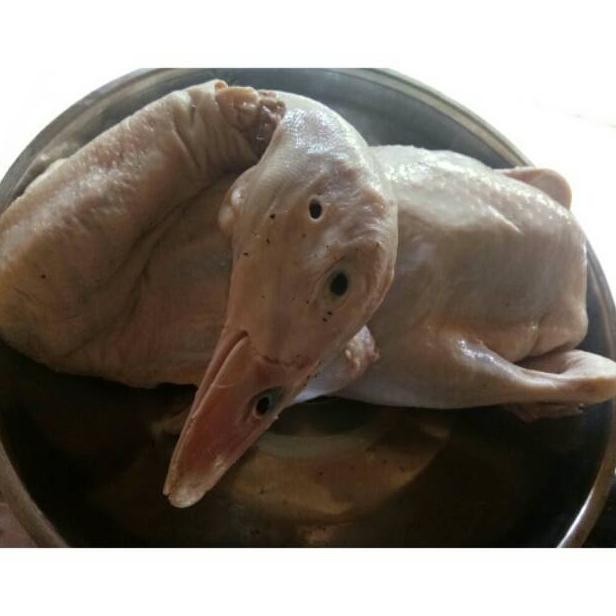 

Bebek Hibrida/daging bebek size 1.3kg Nugi