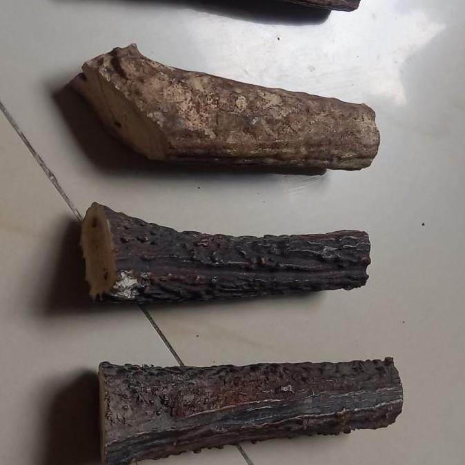 Bahan Gagang Pisau Antiq Tanduk Rusa Terbaru