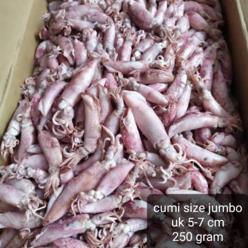 

cumi asin jombocumi asin rebus size jumbo