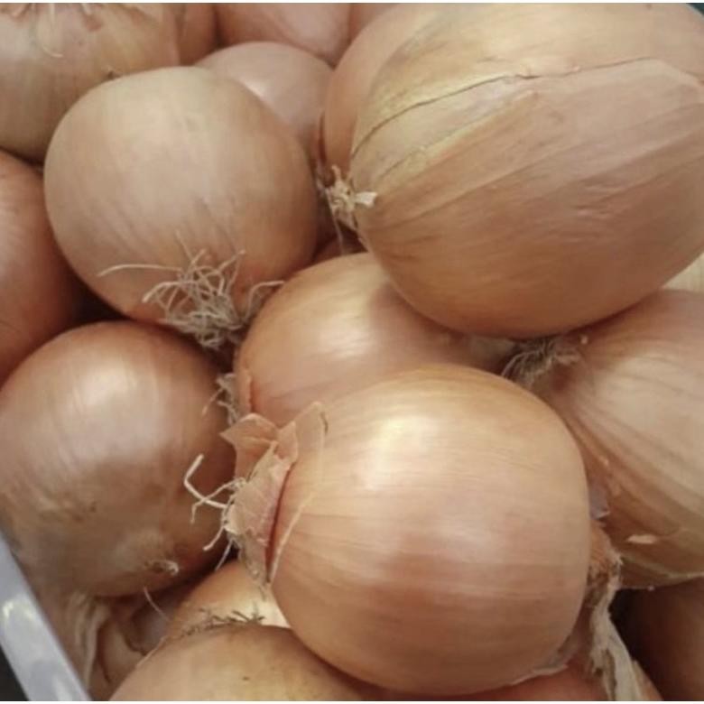 

Bawang Bombay 500gr Nugi