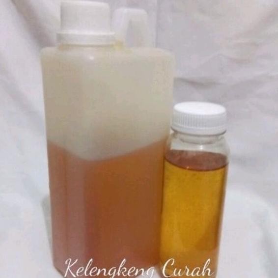 

Madu Kelengkeng Curah Isi Bersih 1 kg Nugi