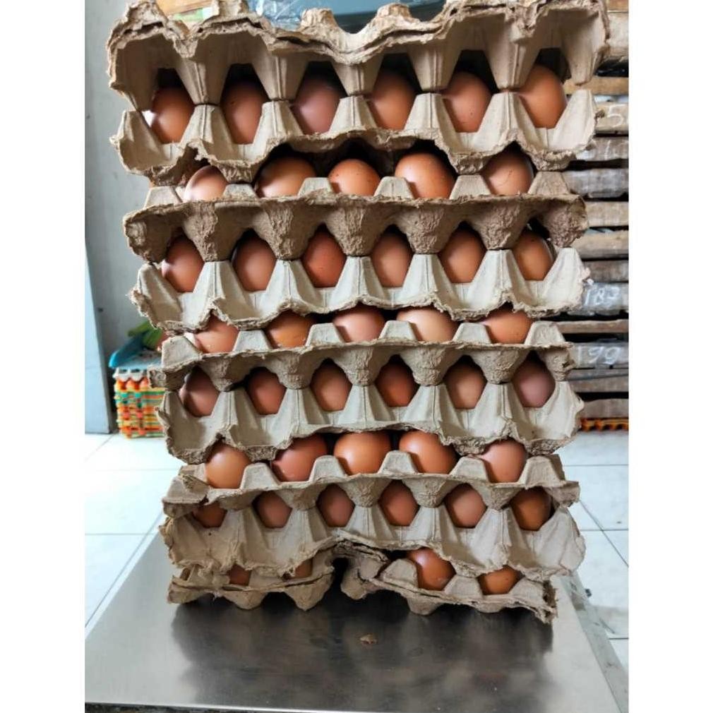 

Telur / Telor Ayam Fresh Curah (MINIMAL 10 KG) Nugi