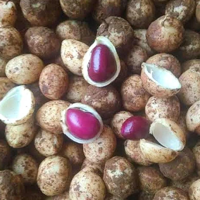 

PROMO Kacang Polong Bogor 1 KG Nugi