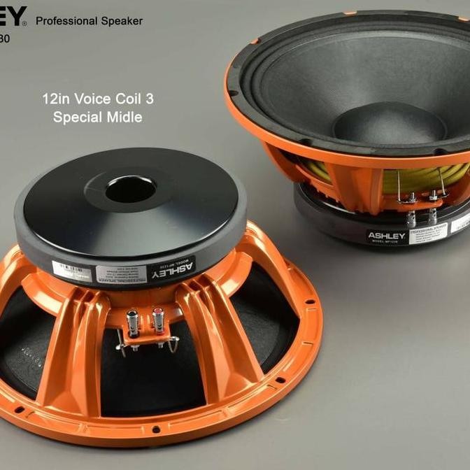 SPEAKER COMPONENT ASHLEY MF1230 MF 1230 MF12 30 ORIGINAL