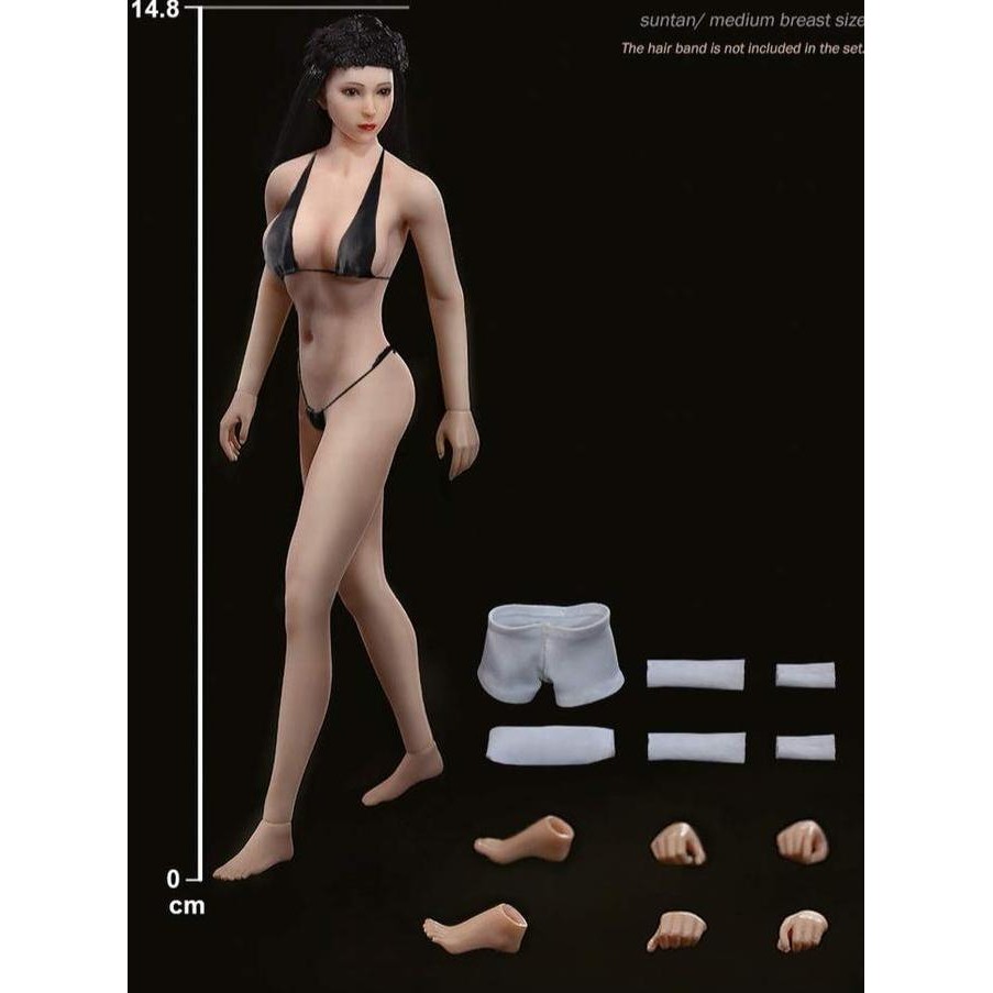 TBLeague Phicen Female Body PHMB2018 T01 T01A T01B - Action Figure 1/12 Scale
